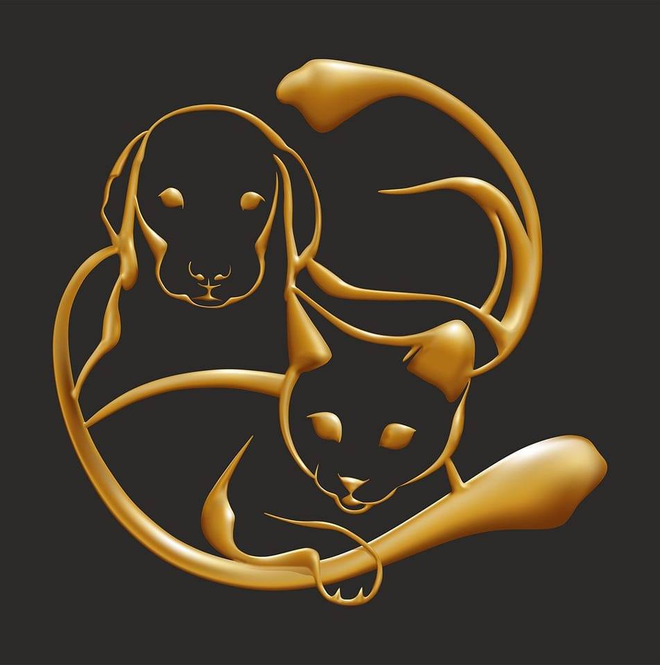 PetWanted - Service Web pour la sécurité des animaux de compagnie.